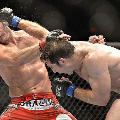 UFC Michael Bisbing
