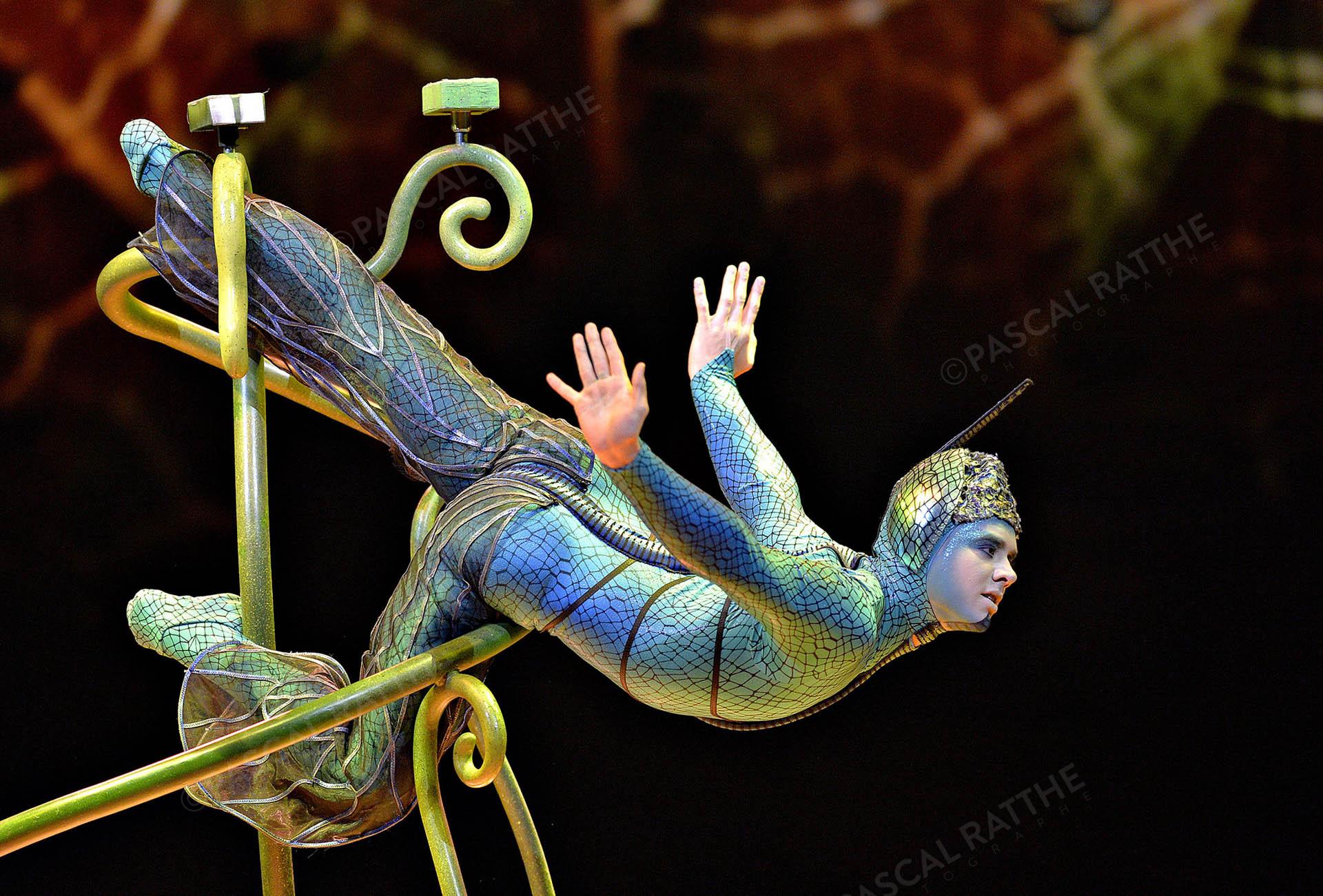 cirque du soleil