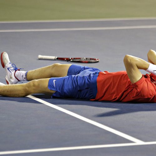 denis shapovalov couché par terre les mains au visage