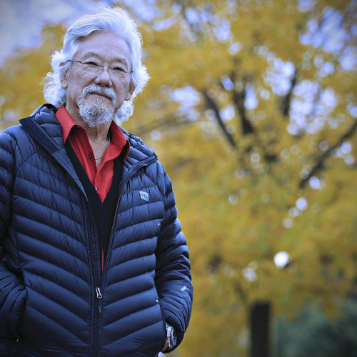 david suzuki