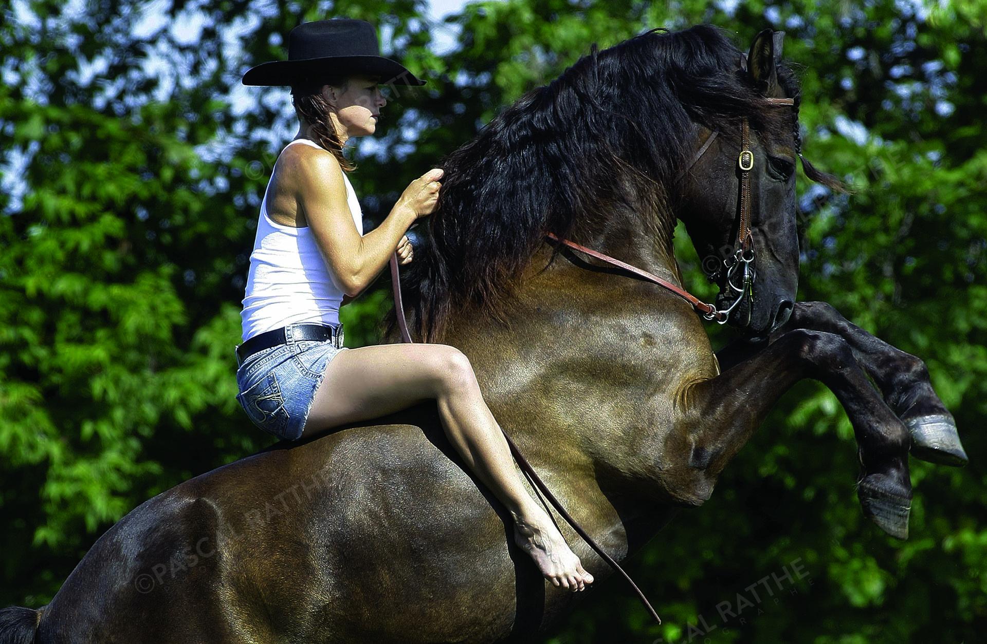 femme en short sur un cheval brun sur 2 pattes