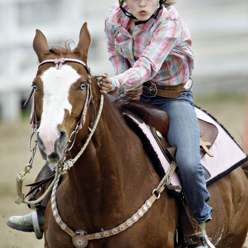 Une femme avec un casque sur un cheval brun de face