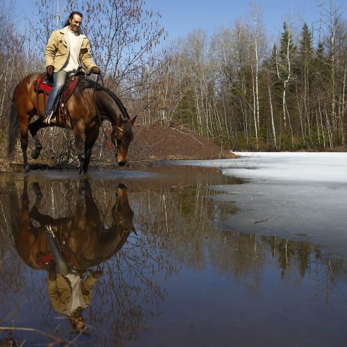 Un homme sur un cheval le fait boire de l'eau