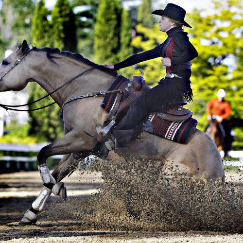Femme avec chapeau de cowboy noir sur un cheval