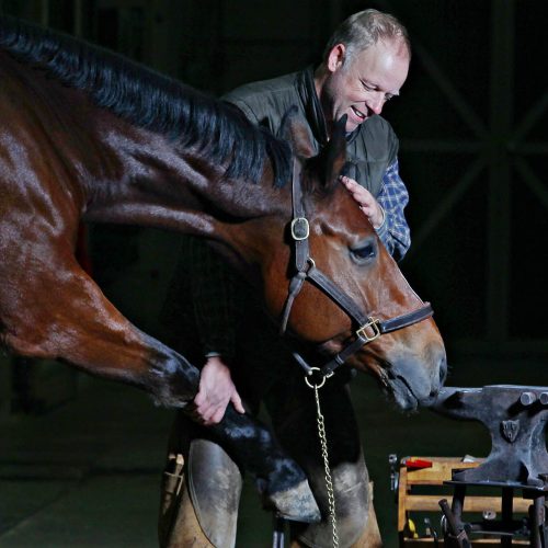 un homme avec un cheval brun