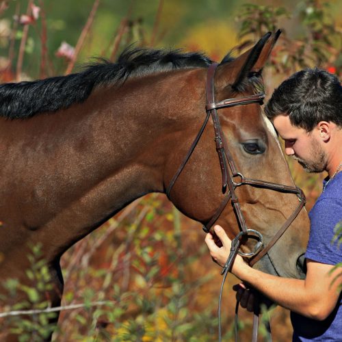Un homme caresse son cheval de face