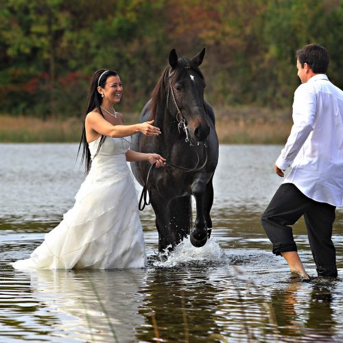 un couple de jeune marié dans l'eau avec un cheval et robe de mariée