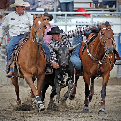2 hommes en action au rodéo