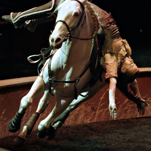 Majolie Nadeau durant le spectacle Odysseo de Cavalia présenté a Laval acrobatie à cheval